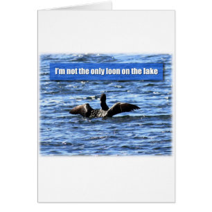 Un autre Loon sur le lac