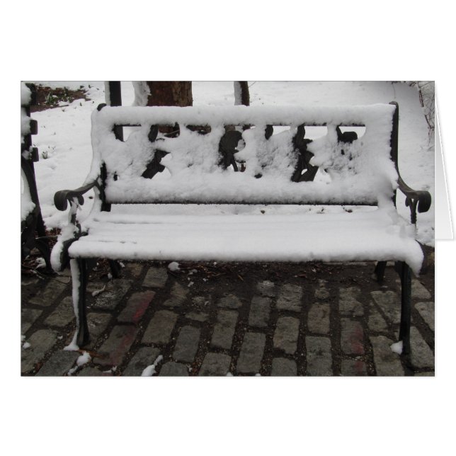 UN BANC DE NEIGE COUVERT DE NEIGE (Devant horizontal)