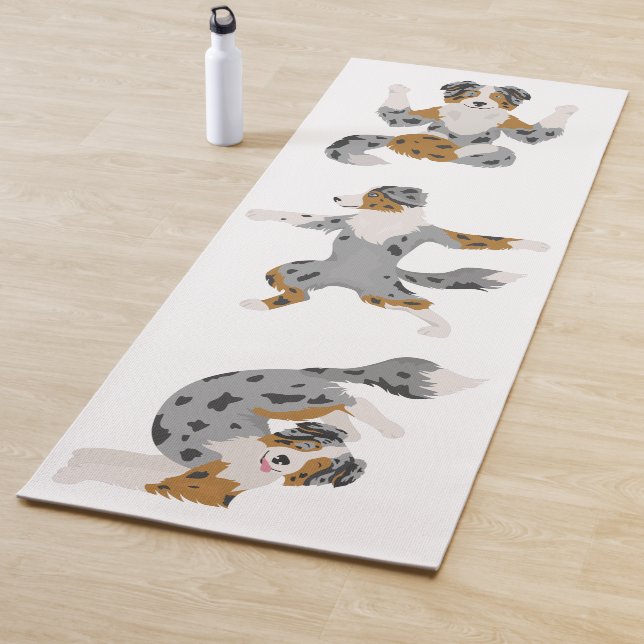 Un berger australien pose un tapis de yoga (En situation)