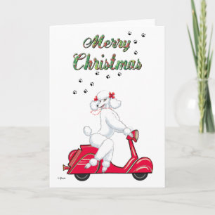 Un caniche blanc sur les cartes de Noël du Scooter