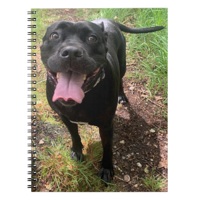 Un Carnet Cane Corso X (Devant)