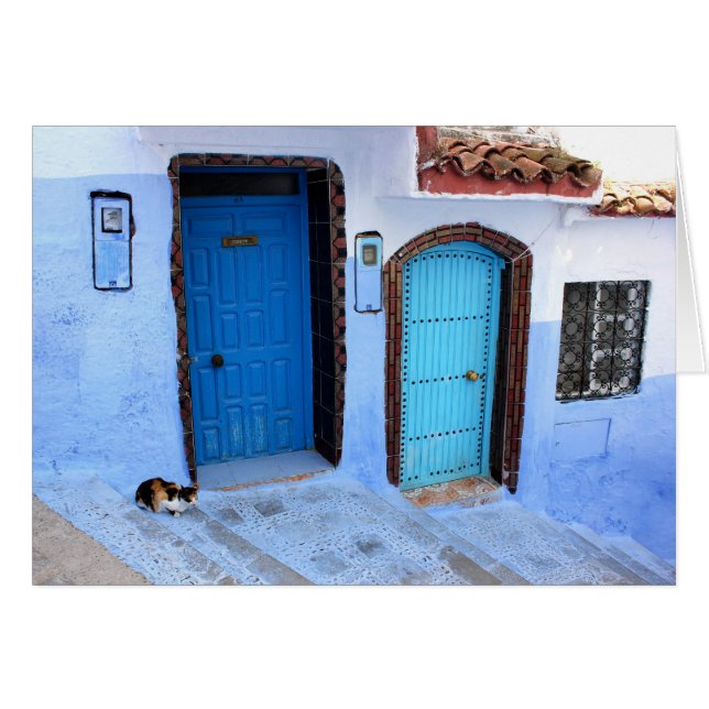 Un chat - Deux portes bleues marocaines (Devant horizontal)
