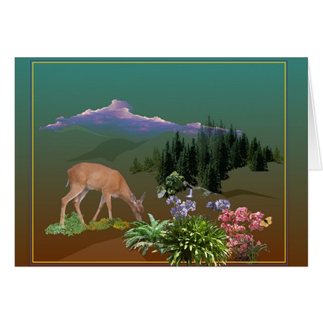 Un cher Pheona appelé (Devant horizontal)