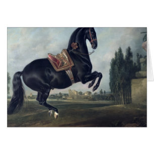 Un cheval noir exécutant le Courbette