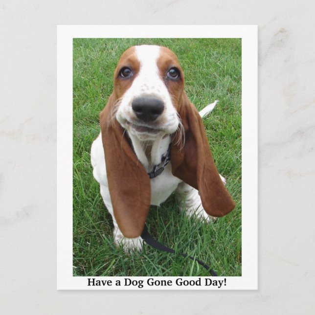 Un chien est parti pour la bonne journée ! Carte p (Devant)