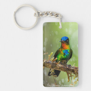 Un colibri à gorge ardente dans la forêt nuageuse