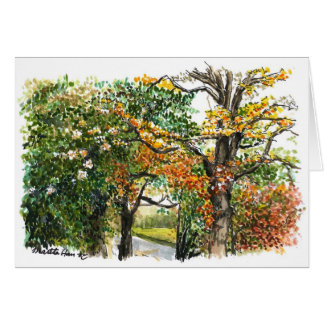 Un contact d'automne