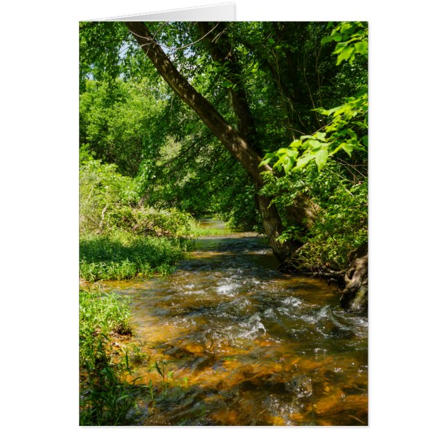 Un Country Creek (Devant)