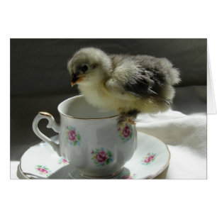 Un coup de pouce dans un Teacup