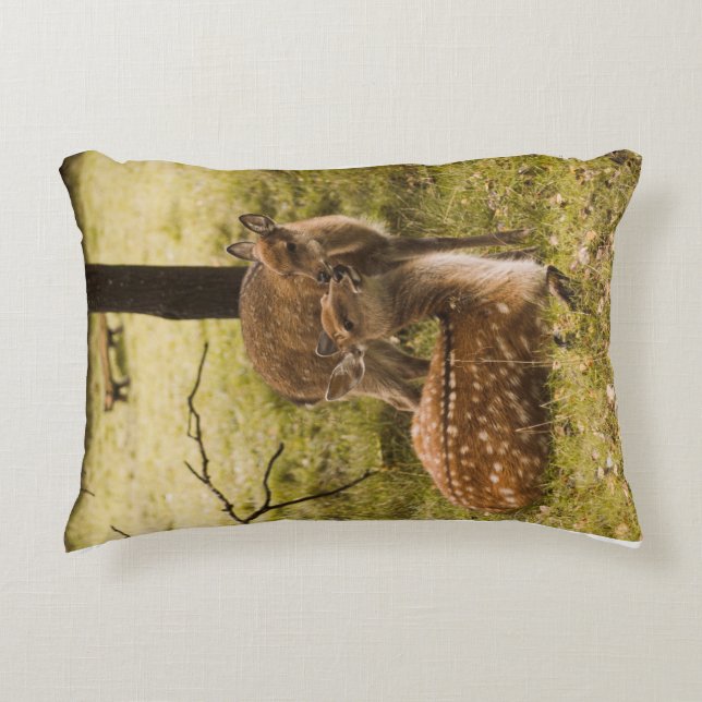Un coussin de cerfs pour les enfants (Devant)