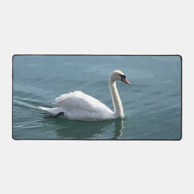 Un cygne gracieux qui glisse sur l'eau (Recto)
