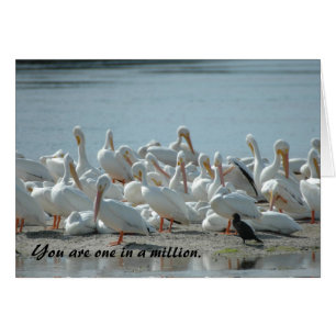 UN DANS A MILLION : CARTE