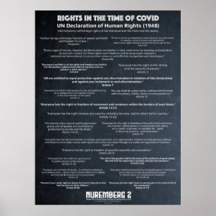 UN Declaration On Human Rights 1948 Large Poster