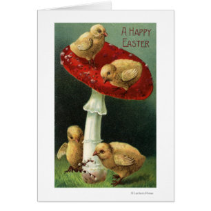 Un EasterChicks heureux sur le champignon rouge