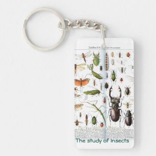 "Un entomologiste"