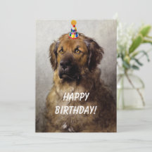 Un exploit de carte d'anniversaire. Leonberger d'O