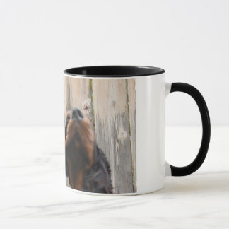 UN GORDON ! A GORDON!, Gordon Setter Mug en cérami