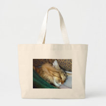 Un grand sac fourre-tout qui rêve doucement