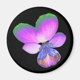 Un joli aimant de sansy