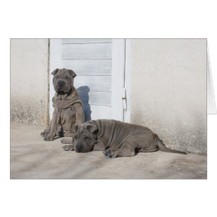 Un jour à la fois…