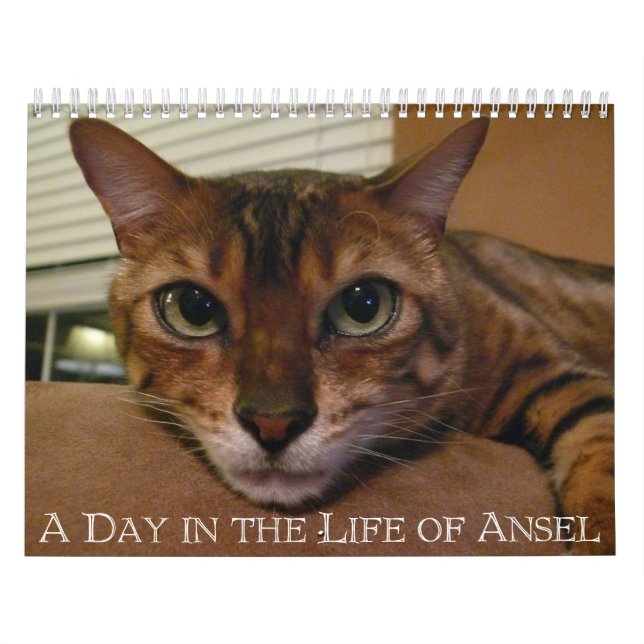 Un jour dans la vie d'Ansel Calendrier - 18 mois (Protection)