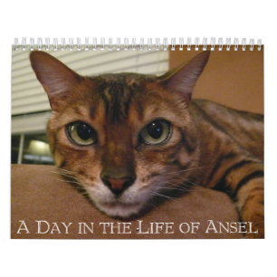 Un jour dans la vie d'Ansel Calendrier - 18 mois