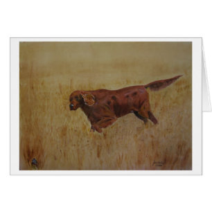 Un jour de manoeuvres irlandais