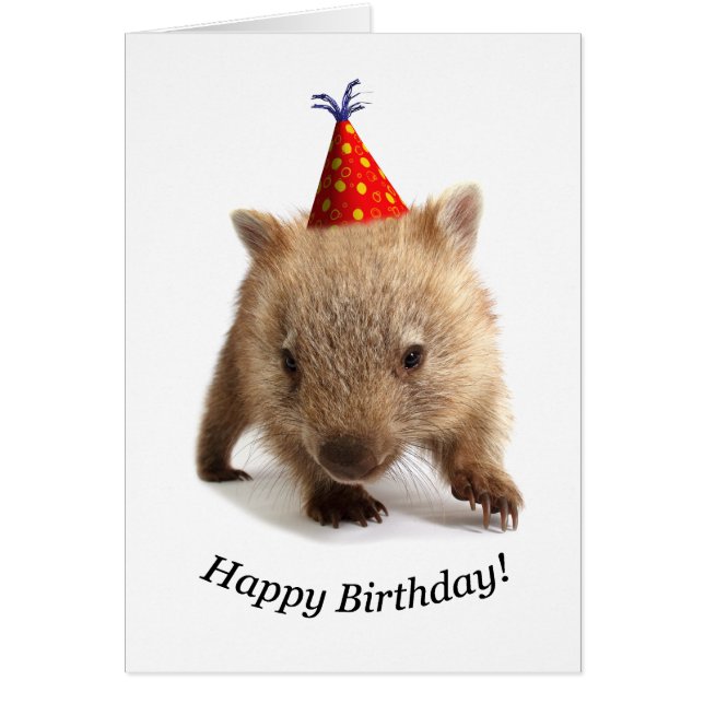 Un joyeux anniversaire de wombat (Devant)