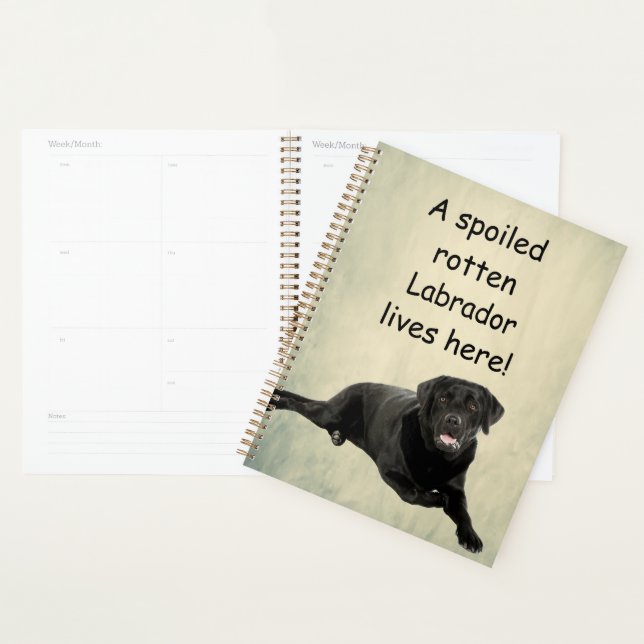 Un Labrador Tourbé Mal Vit Ici (Devant avec enveloppe)