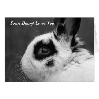 Un lapin aime ta carte