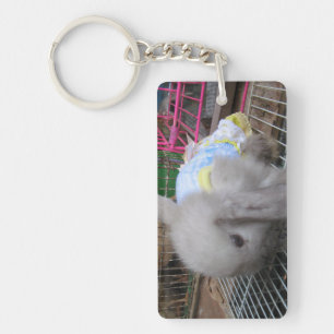 Un lapin en robe