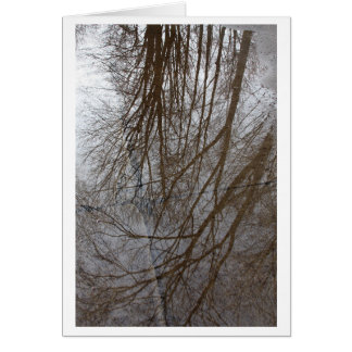 "Un magma d'art de photo d'arbres" -