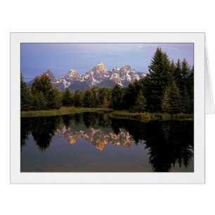 "Un matin de Teton "