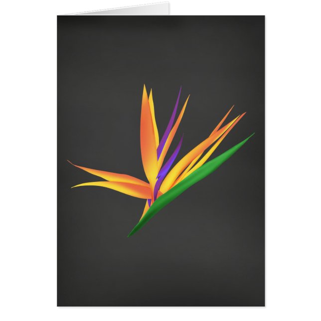 Un Merci élégant pour votre sympathie (Devant)