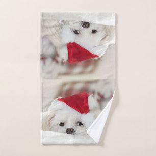 Un mignon chien blanc dans un Casquette de Noël ro