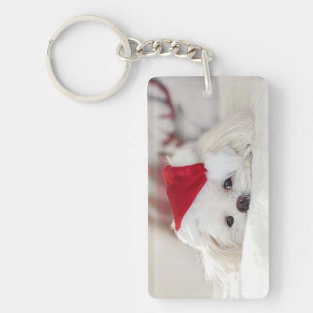 Un mignon chien blanc dans un Casquette de Noël ro (Devant)