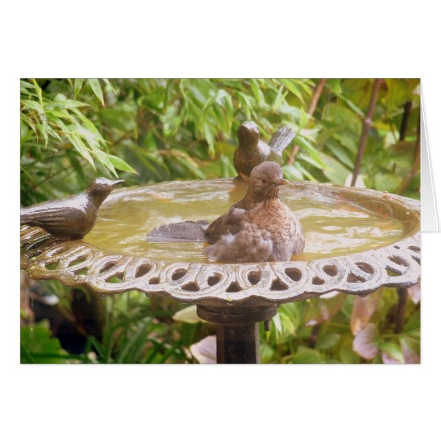 Un Oiseau Dans Le Bain (Devant horizontal)