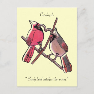" Un oiseau précoce attrape le ver." Carte postale