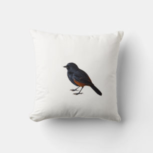 Un oiseau sur un coussin jeté