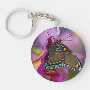 Un papillon swallowtail