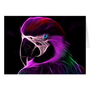 Un Parrot Lumineux De Plum À L'Intérieur