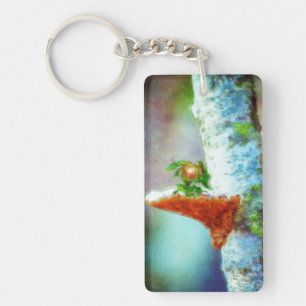 Un Petit Dragon Dort