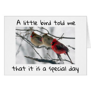 UN PETIT OISEAU M'A DIT QUE C'ÉTAIT NOTRE JOUR SPÉ