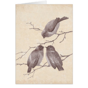 Un petit oiseau m'a indiqué : Croquis antique