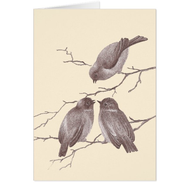 Un petit oiseau m'a indiqué : Croquis antique (Devant)
