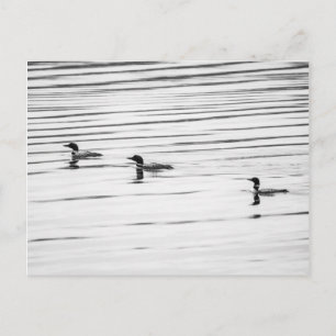 Un peu de chance - Carte postale