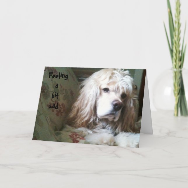 UN PEU TRISTE SUR LA CARTE DE COLLINE (Devant)