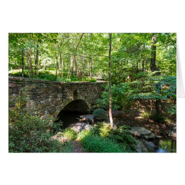 Un pont de sentier forestier (Devant Horizontal)