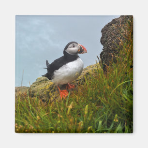 Un puffin sur un aimant de frigo