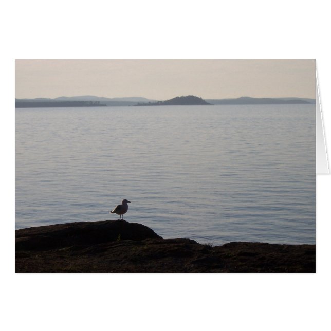 Un rêve de mouette (Devant horizontal)